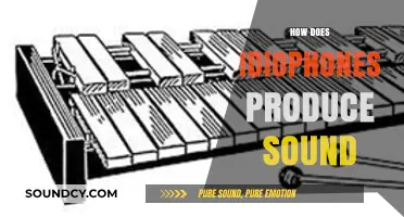 Understanding Idiophones: The Science Behind Their Unique Sound Production