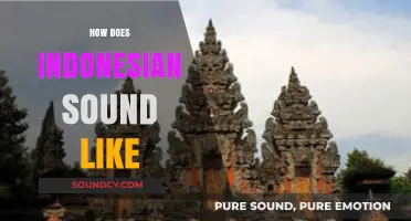 Exploring the Unique Melody and Rhythm of Indonesian Language Sounds