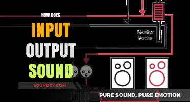 Exploring the Science Behind How Input Translates to Output Sound