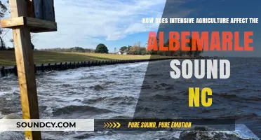 Intensive Agriculture's Impact on Albemarle Sound, NC: Challenges and Solutions