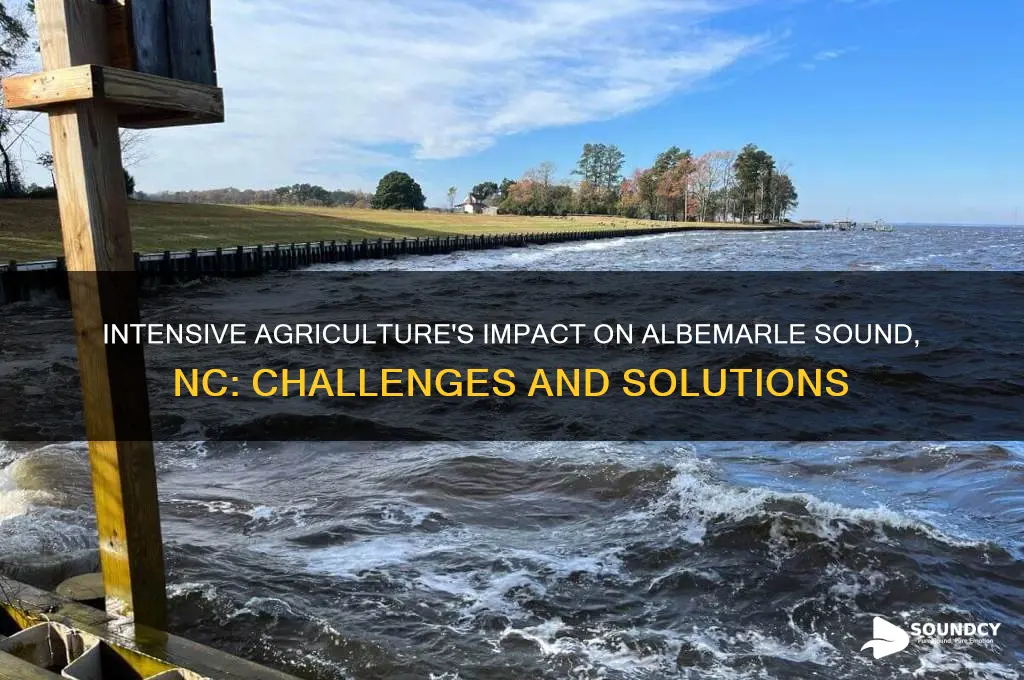 how does intensive agriculture affect the albemarle sound nc