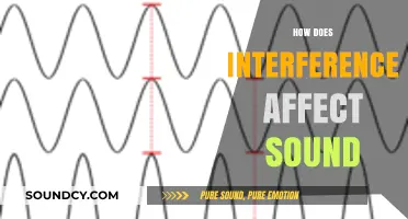Understanding Sound Interference: Causes, Effects, and Solutions for Better Audio