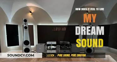 Living My Dream: The Emotional Journey of Achieving My Sound