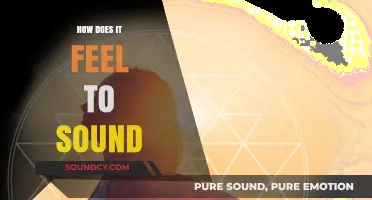 Exploring the Emotional Resonance of Sound: A Journey Through Auditory Sensation