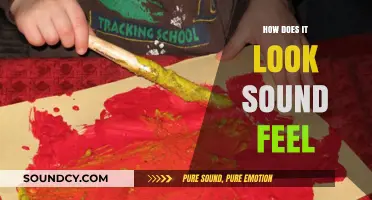 Exploring Sensory Experiences: How It Looks, Sounds, and Feels