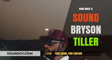 How Does It Sound? Exploring Bryson Tiller's Unique Musical Style