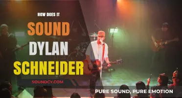 How Does It Sound? Exploring Dylan Schneider's Unique Musical Style