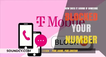 Blocked Number Blues: Decoding the Silence After Your Calls Go Unanswered