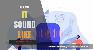 Exploring the Sonic Experience: What Does It Sound Like?