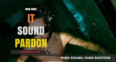 Understanding the Phrase 'How Does It Sound Pardon': Meaning and Usage