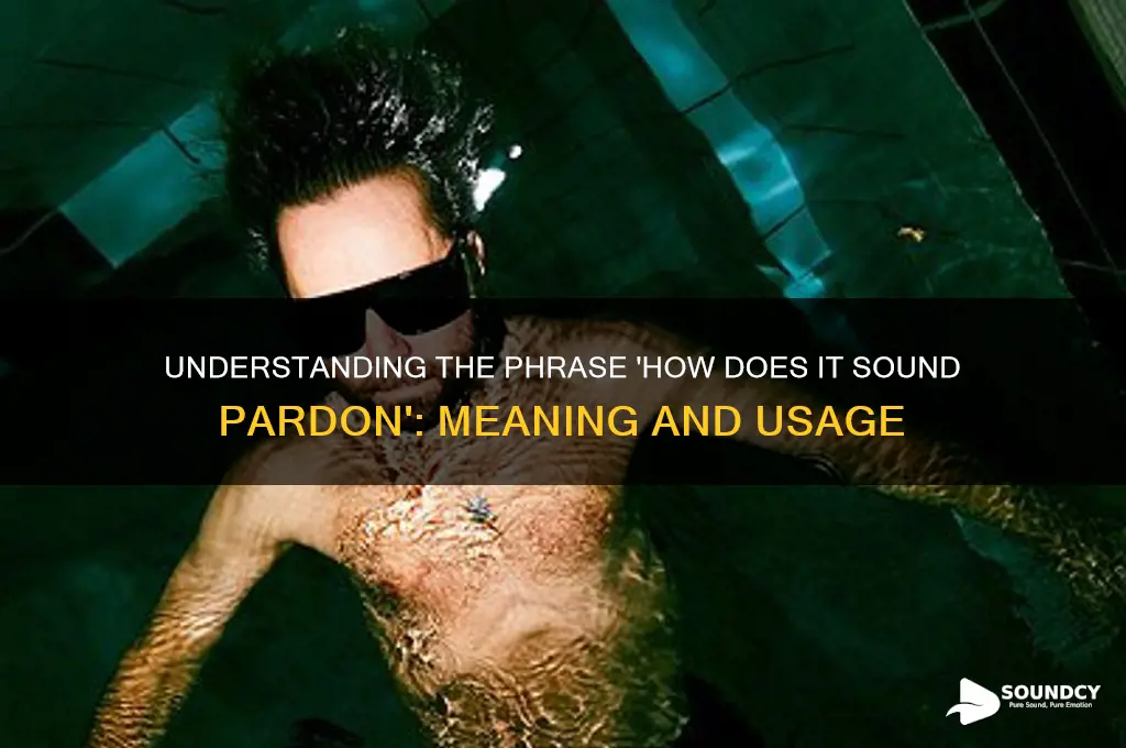 how does it sound pardon