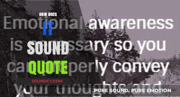 How Does It Sound? Exploring the Power of Quotes in Communication