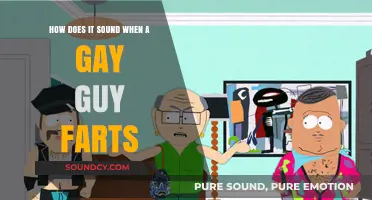 Breaking Stereotypes: The Sound of a Gay Man's Fart Explored