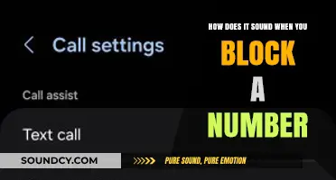 What Happens When You Block a Number: The Sound Explained