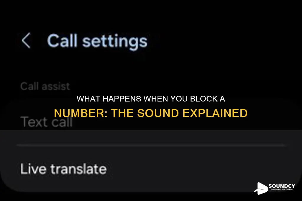 how does it sound when you block a number