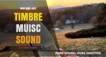 Exploring the Rich, Soulful, and Vibrant Sound of Jazz Timbre