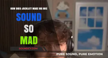 Mastering the Mad Mic: Jschlatt's Audio Secrets Revealed