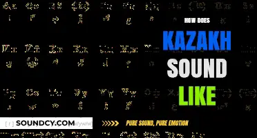 Exploring the Unique Melody and Rhythm of the Kazakh Language