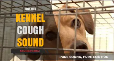 Understanding Kennel Cough: Identifying the Distinct Sound and Symptoms