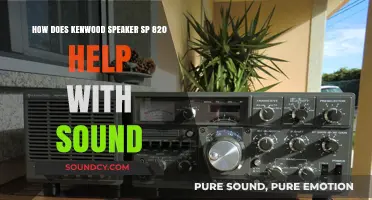 Kenwood SP-820 Speakers: Enhancing Audio Clarity and Depth for Immersive Sound