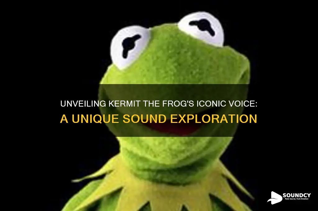 how does kermit the frog sound