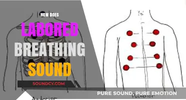 Understanding Labored Breathing: Identifying Sounds and Seeking Help