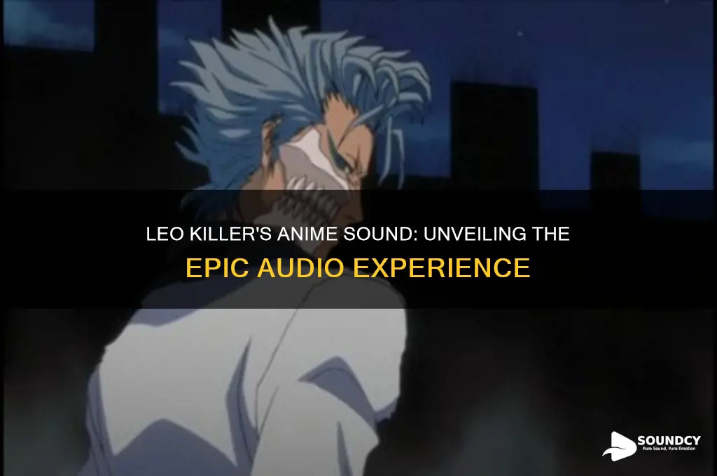 how does leo killer sound anime