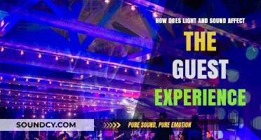 Enhancing Guest Experience: The Impact of Light and Sound Design