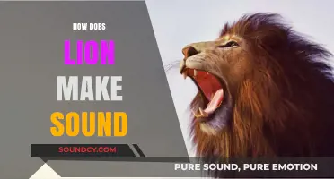 Understanding the Majestic Roar: How Lions Produce Their Iconic Sound