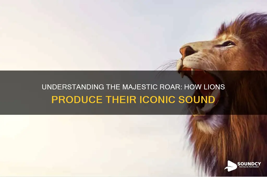 how does lion make sound