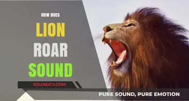 The Majestic Lion's Roar: Unraveling Its Powerful and Distinctive Sound