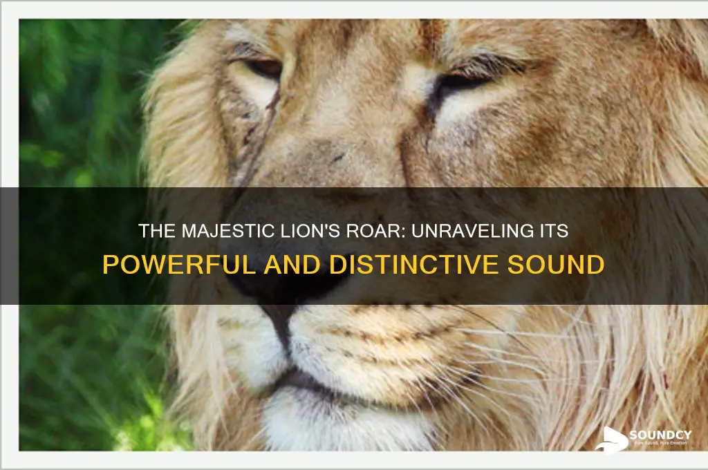 how does lion roar sound