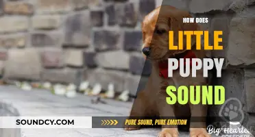 Understanding the Adorable Sounds of a Little Puppy: A Guide