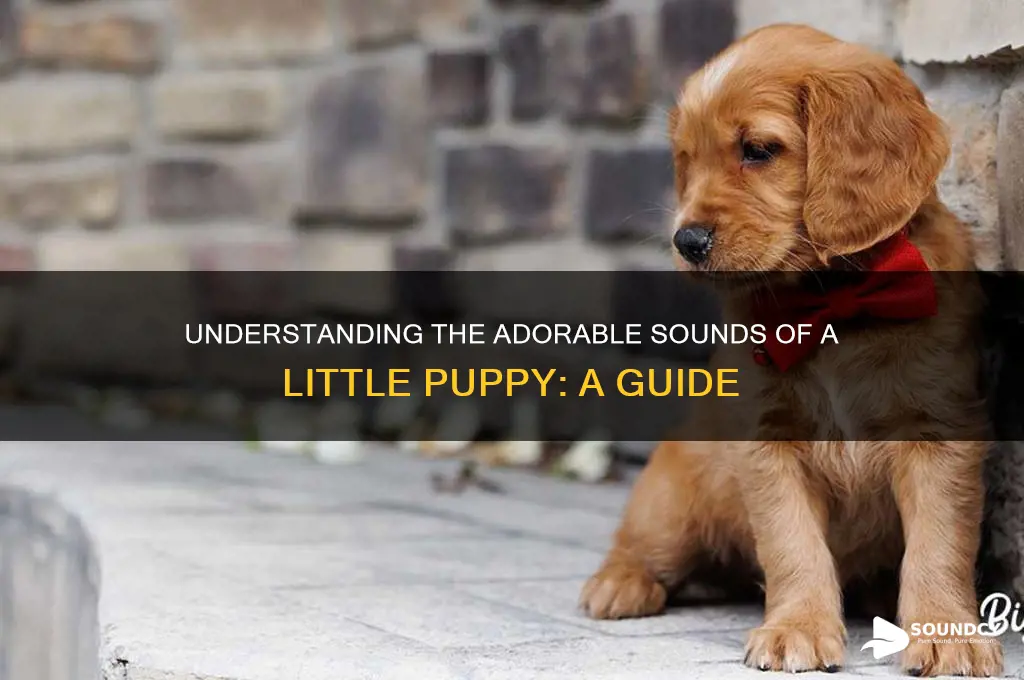 how does little puppy sound
