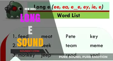 Mastering the Long E Sound: Phonics, Examples, and Pronunciation Tips