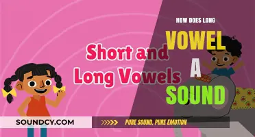 Mastering the Long Vowel A Sound: Techniques, Examples, and Practice Tips