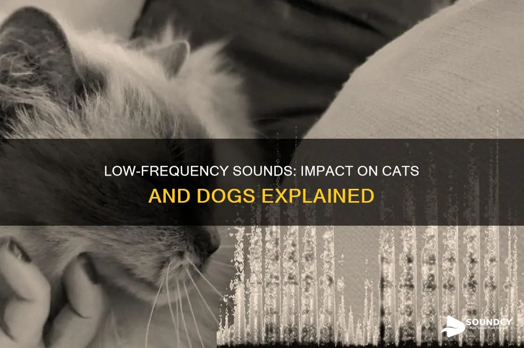 how does low frequency sound affect cats and dogs