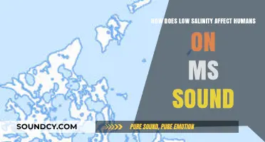 Low Salinity in MS Sound: Impacts on Human Health and Livelihood