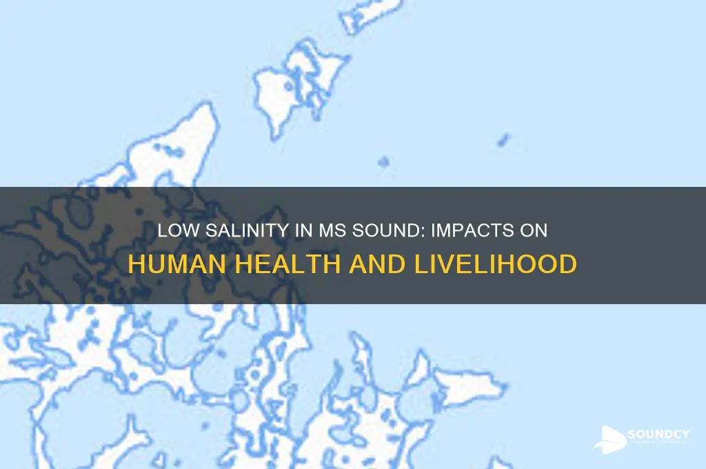 how does low salinity affect humans on ms sound