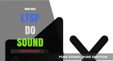 Understanding LTSP Sound: How It Works and Best Practices