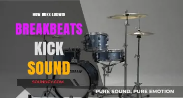 Ludwig Breakbeats Kick Sound: Punchy, Versatile, and Perfect for Drummers