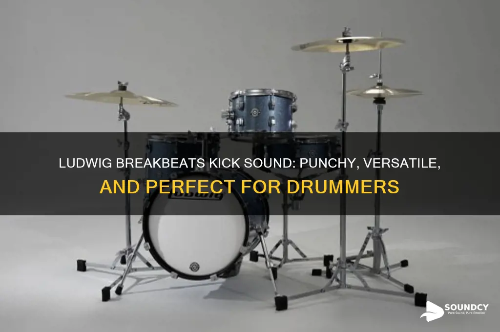 how does ludwig breakbeats kick sound
