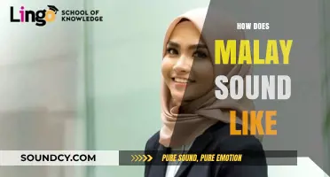 Exploring the Unique Melody and Rhythm of the Malay Language