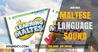 Exploring the Unique Melody and Rhythm of the Maltese Language