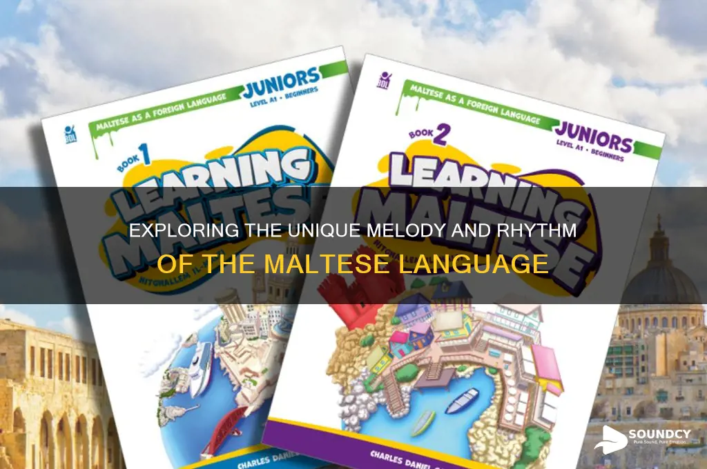 how does maltese language sound