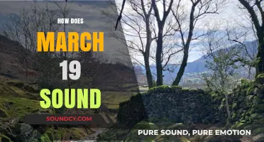 March 19th Reflections: Exploring the Significance and Meaning of the Date