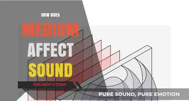 Exploring How Different Mediums Influence Sound Propagation and Quality