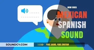 Exploring the Unique Rhythm and Accent of Mexican Spanish