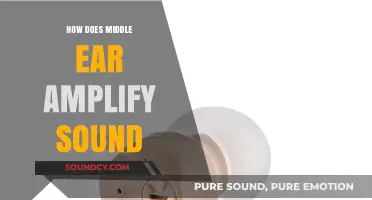 How the Middle Ear Amplifies Sound: Unveiling the Mechanism
