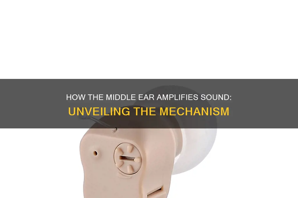 how does middle ear amplify sound
